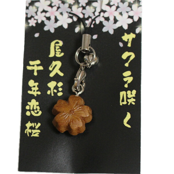 楽天市場】屋久杉しおり 5枚組 : やくしま市場