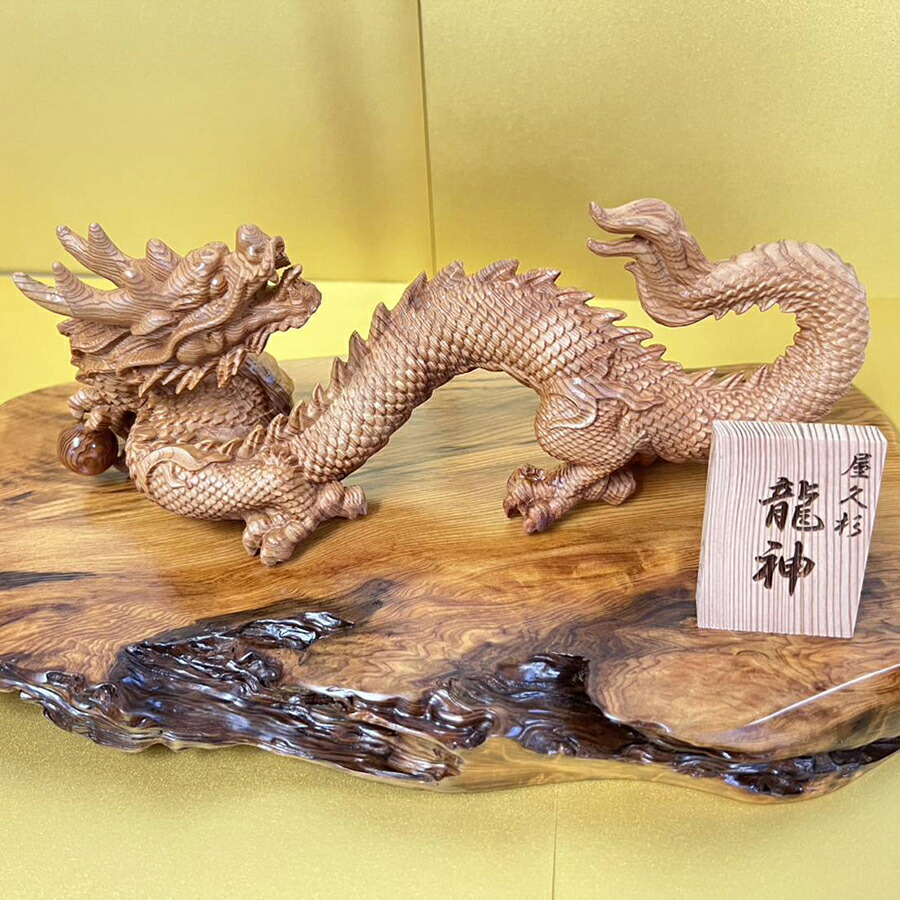 屋久杉 龍神