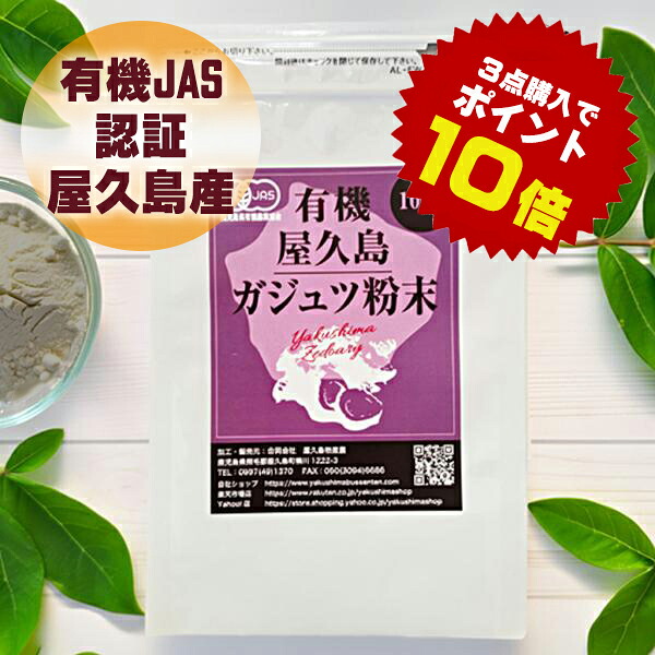 有機 屋久島 紫ウコンバナ ( ガジュツ ) 細末 100g  屋久島産 有機JAS 無農薬 無加えること 食事制限 受け支える rss na  [M便 1/1]