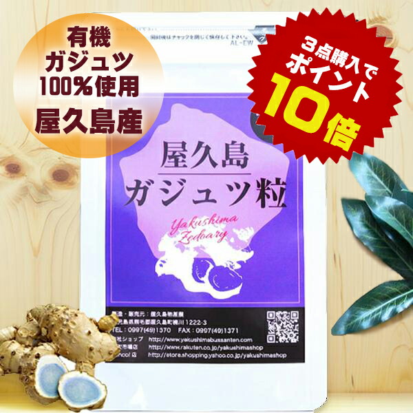 屋久島 紫ウコンバナ ( ガジュツ ) 粒 300粒  屋久島産 無農薬 有機作りだす 食事制限 受け支える 加えること rss na  [M便 1/1]