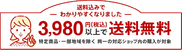 楽天市場】野球 バッター用プロテクター 防具 リストガード 高校野球対応 ミズノ １ＧＪＹＡ２８０ : 野球一筋