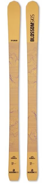 楽天市場】BLOSSOM ブロッサム 23-24 Elegante w/V412BLOSS エレガント