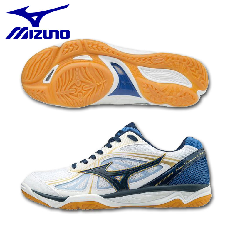 mizuno 2018 volleyball shoes