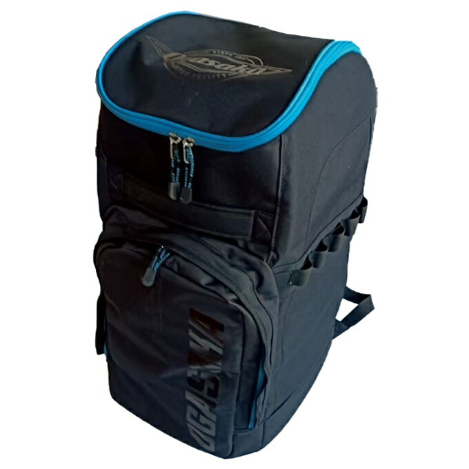 楽天市場】フィッシャー スキー バックパック レース 55L SKI