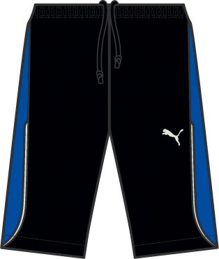 puma beach shorts