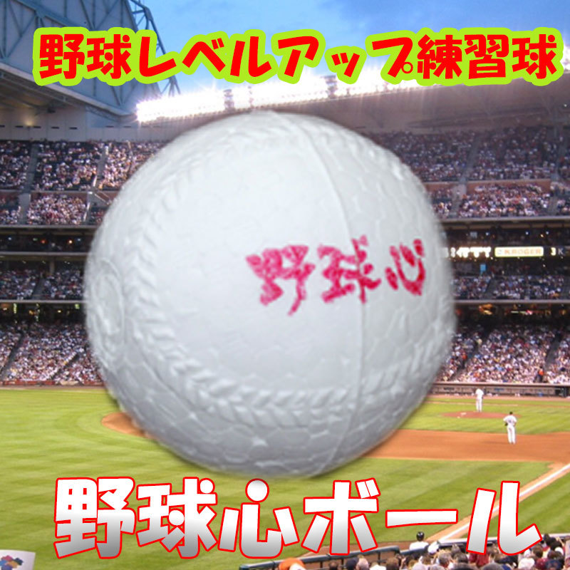 楽天市場 野球心 野球心ボール オリジナル練習ボール 白 硬式ボールサイズ 1ダース バッティング練習 野球上達 野球練習 スローイング練習 野球心