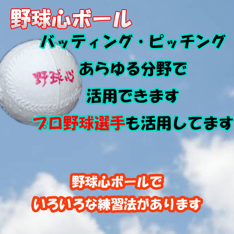 楽天市場 野球心 野球心ボール オリジナル練習ボール 白 硬式ボールサイズ 1ダース バッティング練習 野球上達 野球練習 スローイング練習 野球心