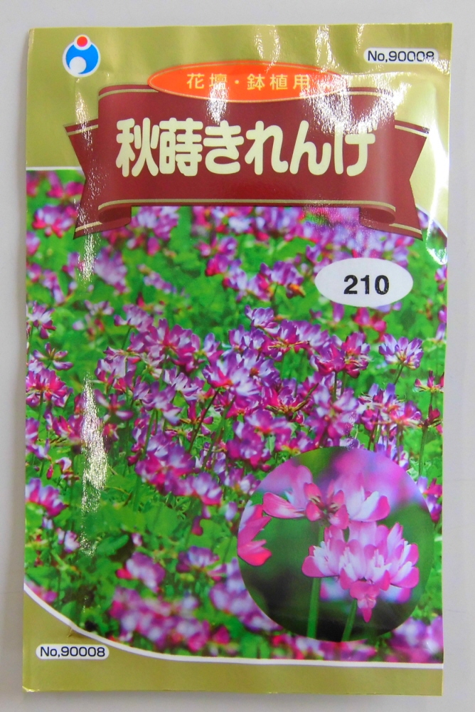 楽天市場 れんげ種秋蒔きれんげ紫紅色のかわいい花 ヤマシチ