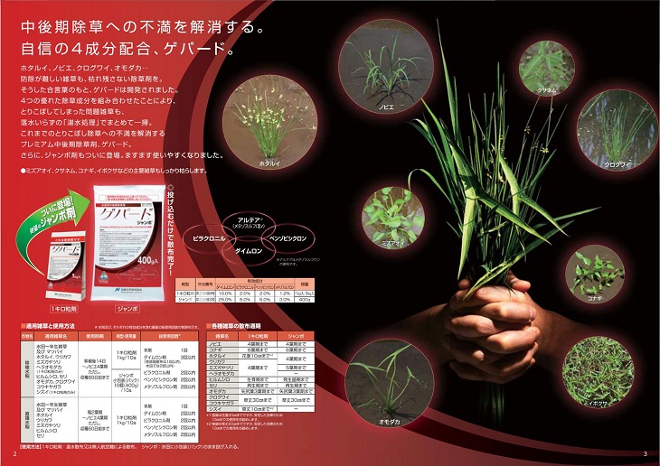 楽天市場 ゲパード ジャンボ 400g 3袋水稲用中期除草剤マツバイ ホタルイ ウリカワ ミズガヤツリ ヘラオモダカ ヒルムシロ セリ オモダカ クログワイ コウキヤガラ シズイ ヤマシチ