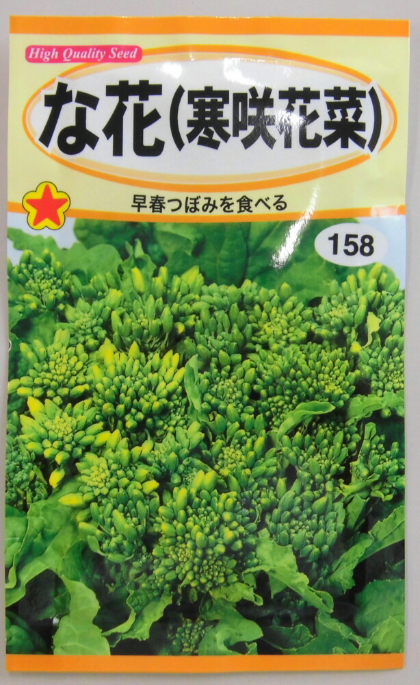 楽天市場 な花種早春つぼみを食べる寒咲花菜 トーホク ヤマシチ