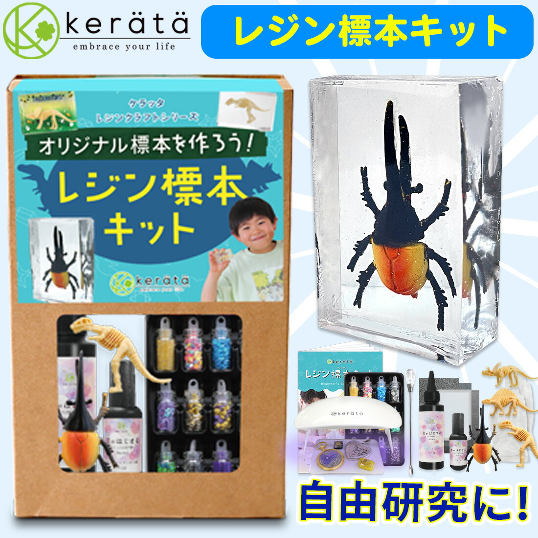【標本道具】昆虫標本作成フルセット　自由研究や本格的な標本作成に 標本道具】昆虫標本作成フルセット 自由研究 本格的な標本作成に
