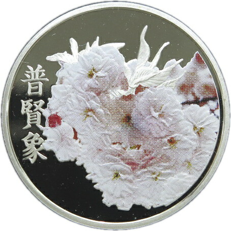 昭和62年 桜の通り抜け記念メダル 銀貨 楽天市場】昭和62年 桜の通り抜け 記念銅メダル 「平野撫子