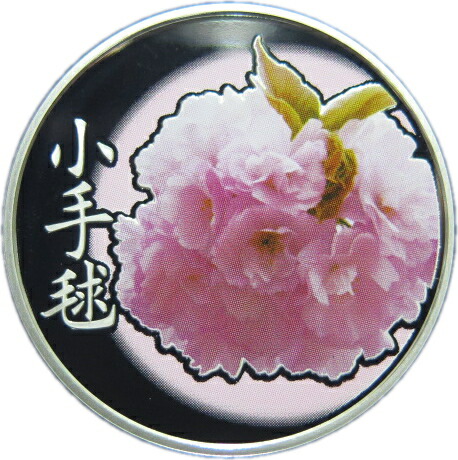 春画　メダル10枚 春画 メダル10枚 春画メダル10枚