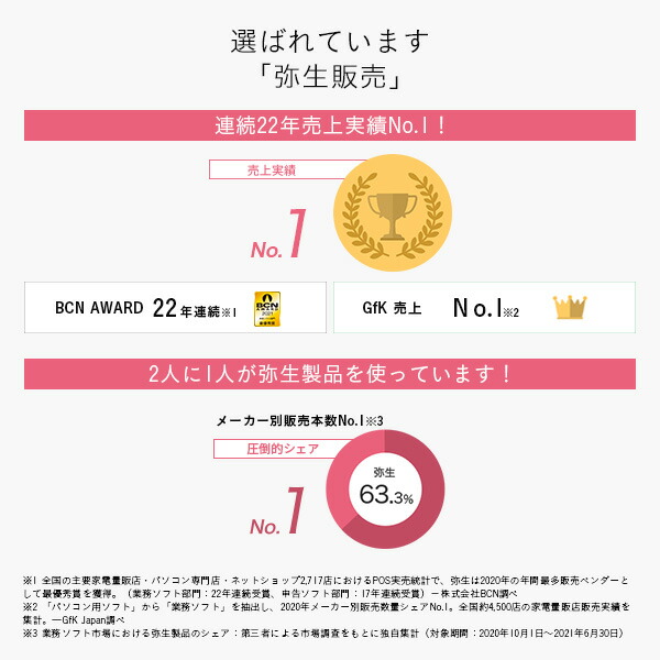 弥生 弥生販売 通常版 22 プロフェッショナル