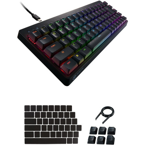 エレコム TK-VK300SBK ゲーミングキーボード USB-Aこしき・RGB LED積み上げる V custom VK300S(銀軸) 黒いこと TKVK300SBK