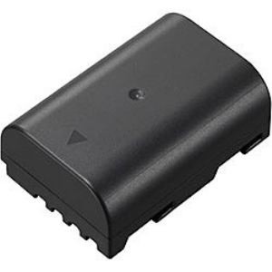 パナソニック DMW-BLF19 バッテリーパック DMWBLF19
