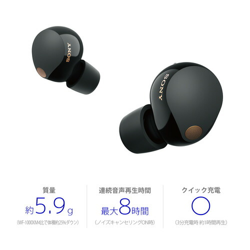 ソニー ワイヤレス イヤホン 左右分離 ハイレゾ ノイズキャンセリング