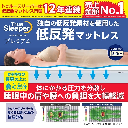 新品 シングルトゥルースリーパー 快眠セット FKB-WS44 FN007268 新品 シングルトゥルースリーパー 快眠セット FKB-WS44 FN007268