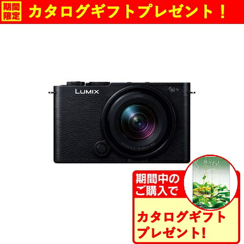 【期間限定ギフトプレゼント】パナソニック DC-S9N-K S9 広角ズームレンズキット ミラーレス一眼カメラ LUMIX ジェットブラック|ヤマダ電機 店