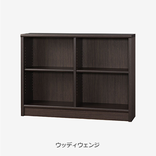 大塚家具 書棚 「Nアコード 120L」幅118.3cm ロータイプ ウッディウェンジ