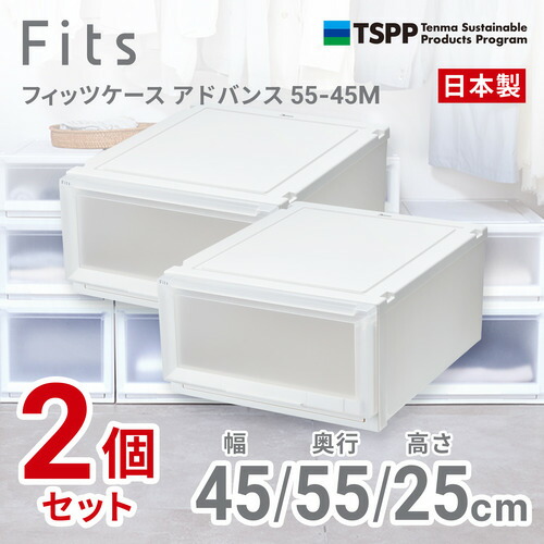 天馬 フィッツケース 現金前貸し 5545M 2個組 高さ25糎 納める入れもの 収納家具 W読みやすい