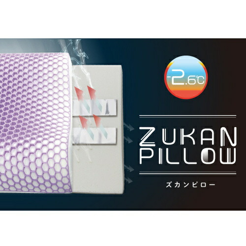 【継続期間制限事項大特価】フランスベッド ズカンピロー（ZUKAN PILLOW）頭の熱を罷めさせるし続け質の好いたらしい御休みを受け支えるする枕