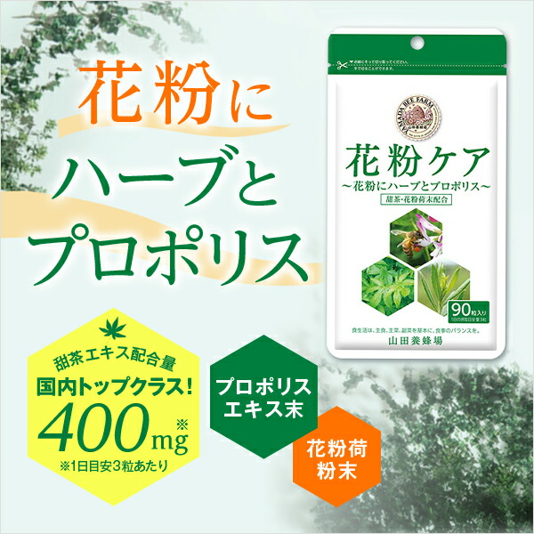 ☆国内最安値に挑戦☆ <br>Zn立 Bee 90球袋入<br> ギフト プレゼント 健康食品 人気 50代 60代 70代 80代 健康 父の日 山田養蜂場 送料無料 さらさらBee 120球袋入 ギフト プレゼント 健康食品 人気 50代 60代 70代 80代 健康 敬老の日