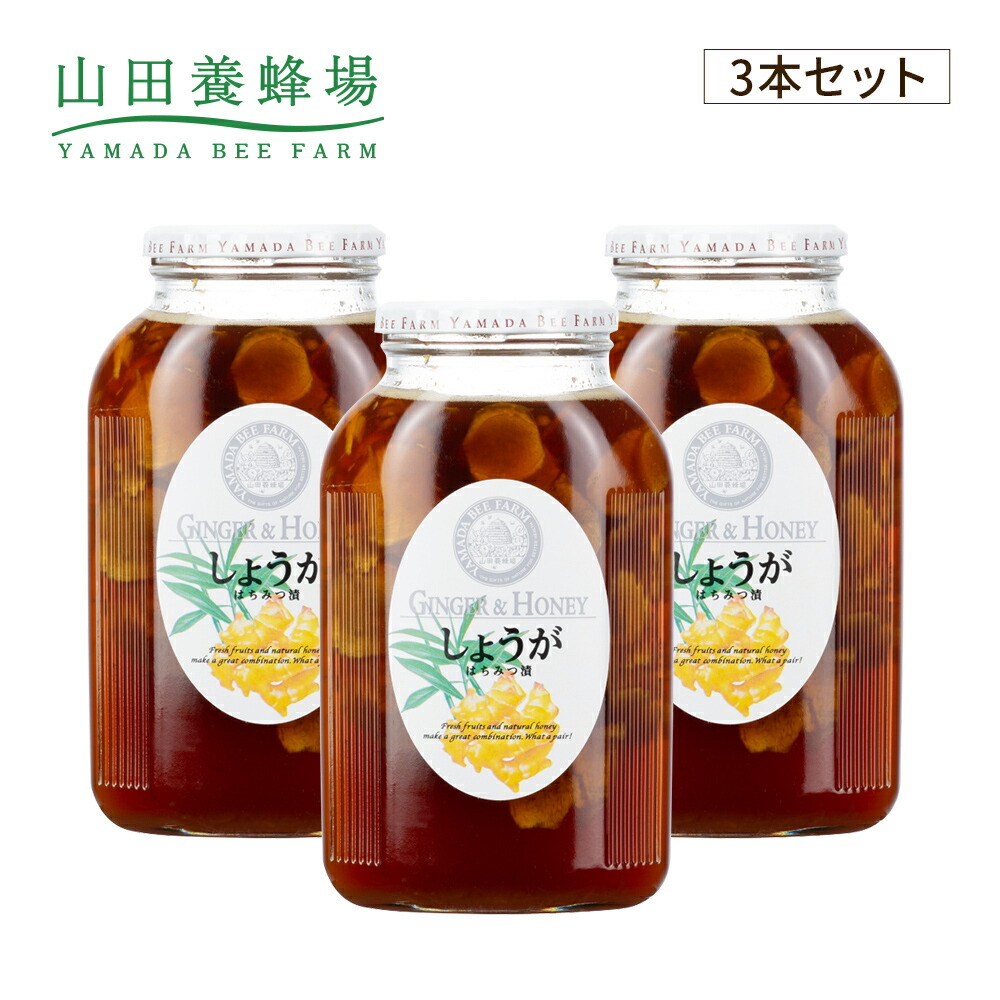 交換無料 楽天市場 山田養蜂場 しょうがはちみつ漬 900g 3本 はちみつ 百花蜂蜜 生姜 ショウガ 国産 食べ物 食品 飲み物 ドリンク ジュース 健康 男性 女性 父 母 夫 妻 両親 お取り寄せグルメ ギフト 贈答 プレゼント 誕生日 母の日 父の日 山田養蜂場