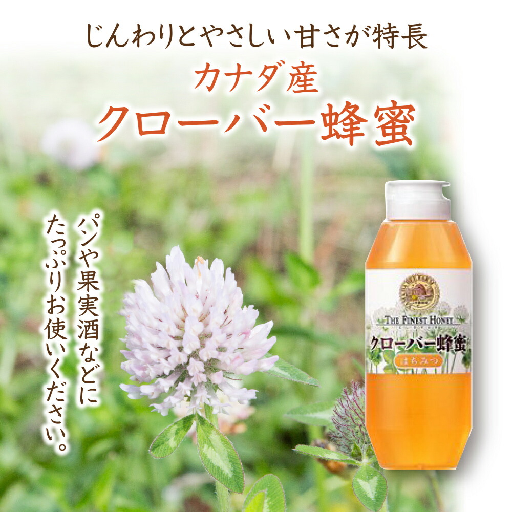 楽天市場 山田養蜂場 クローバー蜂蜜 カナダ産 500g プラ容器 はちみつ 食べ物 食品 健康 男性 女性 父 母 夫 妻 両親 お取り寄せグルメ ギフト 贈答 プレゼント 誕生日 敬老の日 山田養蜂場 公式ショップ 楽天市場 山田養蜂場 クローバー蜂蜜 カナダ産 500g プラ容器 はちみつ 食べ物 食品 健康 男性 女性 父 母 夫 妻 両親 お取り寄せグルメ ギフト 贈答 プレゼント 誕生日 敬老の日 山田養蜂場 公式ショップ