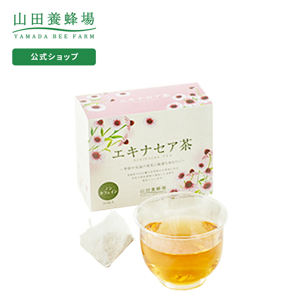 楽天市場 山田養蜂場 エキナセア茶 1 0g 30包 ギフト プレゼント お茶 食品 健康 人気 健康 対策 飲みやすい ノンカフェイン ハーブティー 敬老の日 山田養蜂場 公式ショップ