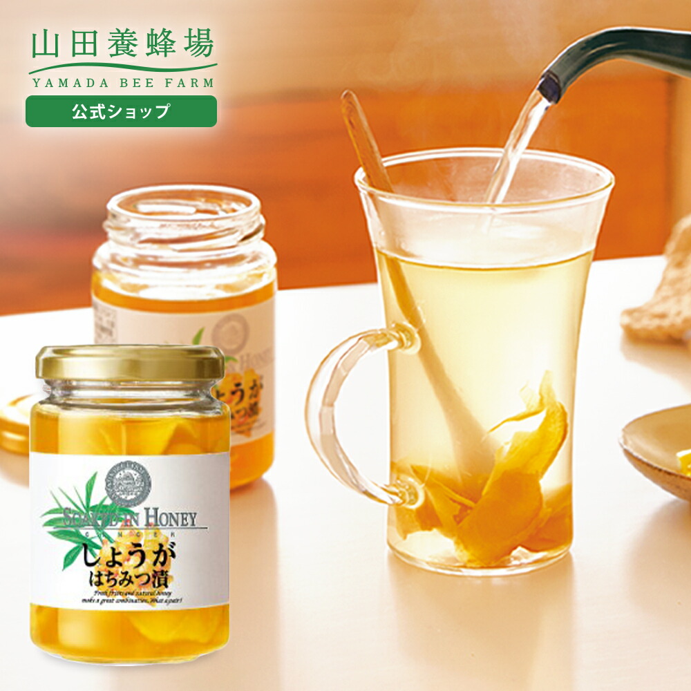 燃えるしょうがパワー フィンガールートカプセル180粒×5袋セット 健康 美容 燃えるしょうがパワー フィンガールートカプセル180粒×5袋セット 健康