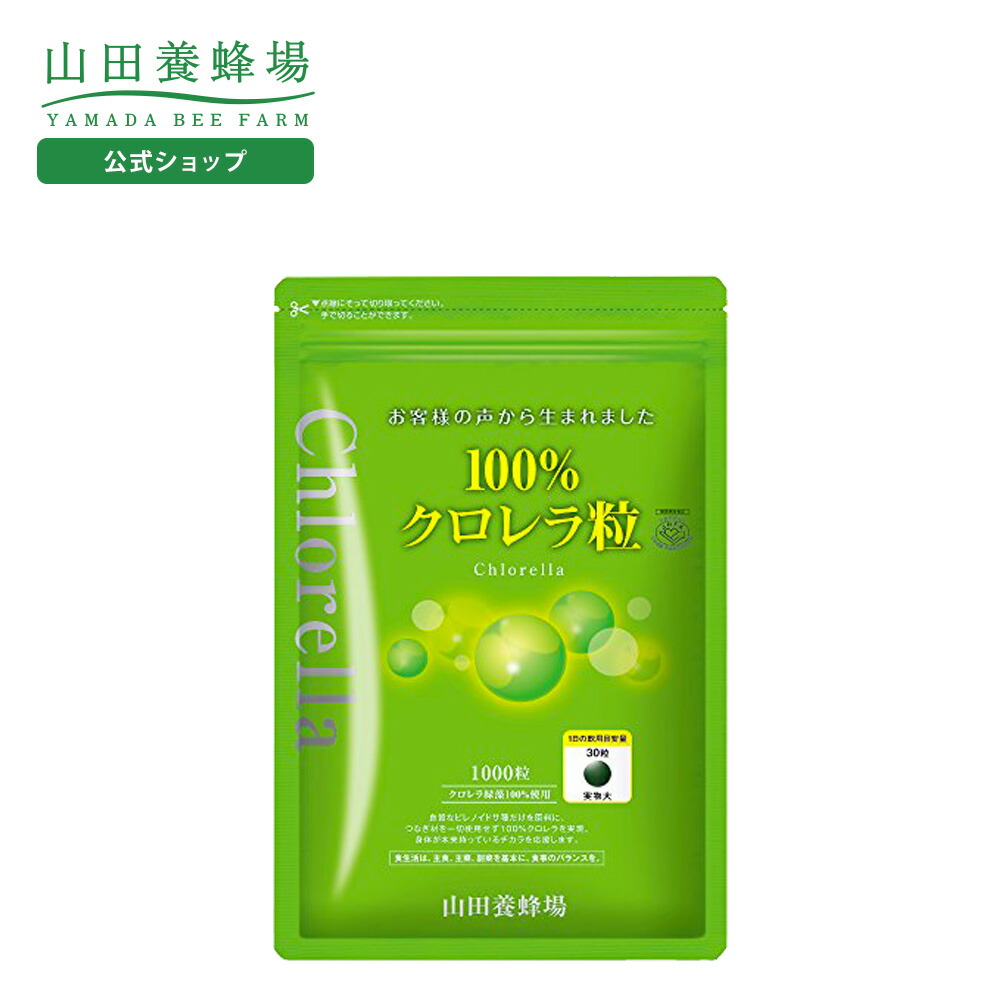 野菜百珍　山田 野菜詰め合わせ 旬の新鮮野菜セット 10種以上 和歌山産中心 送料