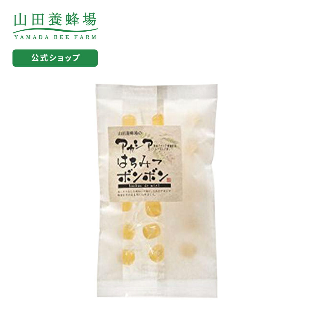 豊富な品 BIKANO ピーナッツチッキ 100g×10個 送料無料Peanut Chikki 砂糖菓子 キャンディジャグリー 落花生 おやつ  ミターイー ビカノ peanuts