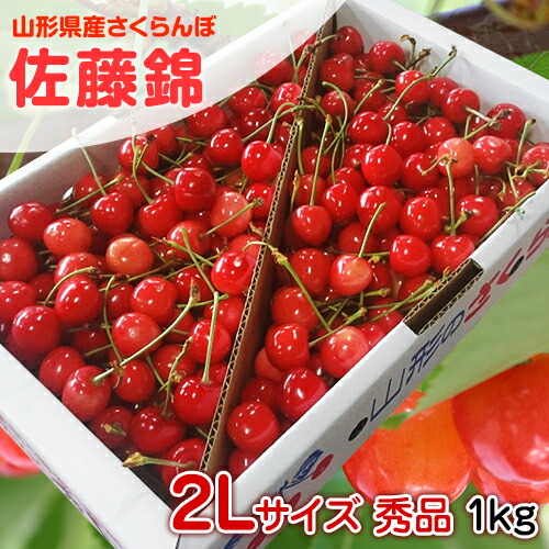 山形県産 さくらんぼ 佐藤錦 2Lサイズ 秀品 1kg<br>贈答用に最適 産地直送【ヤマトクール便発送】