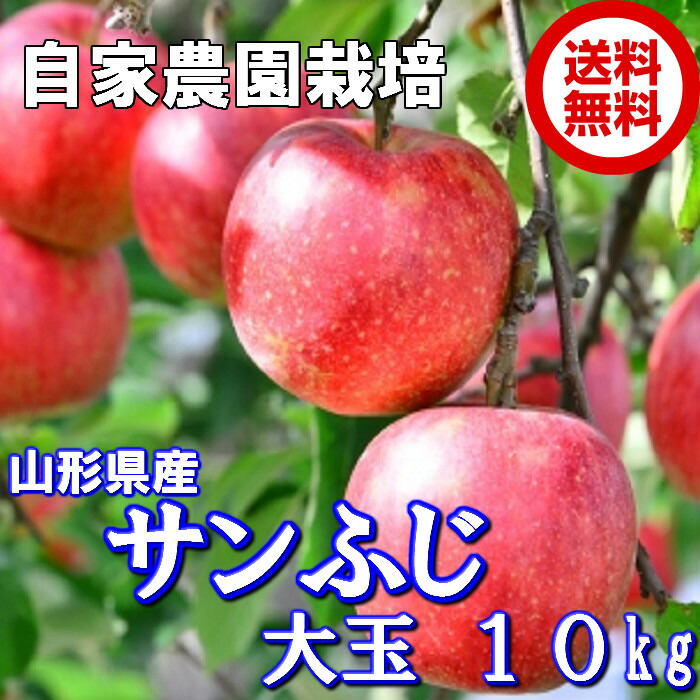 楽天市場】プリンセス はるかりんご 糖度16度以上！山形県天童市