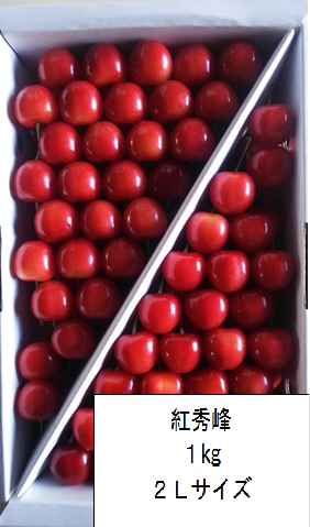 さくらんぼ 紅秀峰 山形県産 贈答用 自家農園栽培 １kg（1キロ） ２Ｌサイズ以上 予約商品 サクランボ 手詰め 高級フルーツ 果物 くだもの 高級 山形 ご当地 お取り寄せ 美味しいもの おいしいもの ギフト 贈り物 内祝い お祝い 通販  送料無料