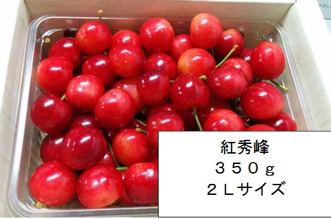 さくらんぼ 紅秀峰 山形県産 自宅用 自家農園栽培 ３５０ｇ ２Ｌサイズ以上 予約商品 サクランボ  高級フルーツ 果物 くだもの 高級 山形 ご当地 お取り寄せ 美味しいもの おいしいもの ギフト 贈り物 内祝い お祝い 通販  送料無料