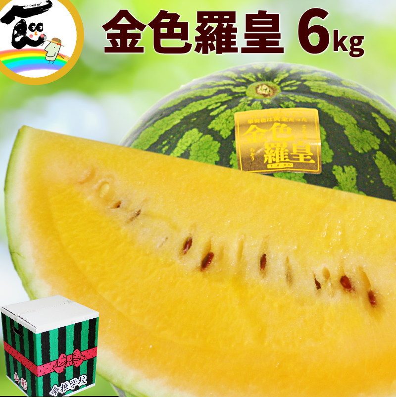 すいか スイカ 金色羅皇 6kg 1玉 予約 山形 すいか 1玉 お中元 黄色 すいか 黄色い 金色 秀品 お取り寄せ ギフト 甘い スイカ