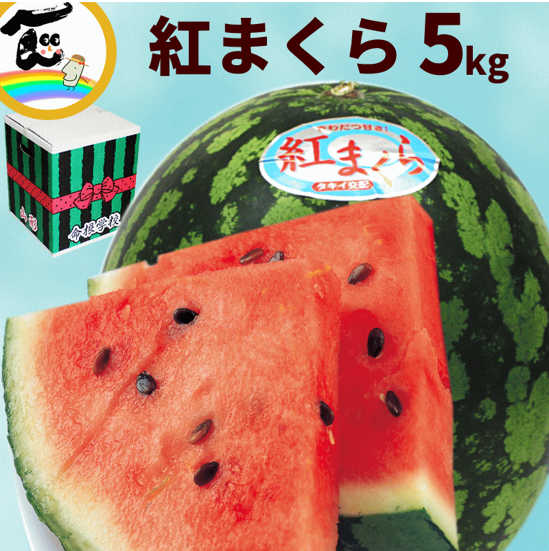 紅まくら　西瓜　約6kg〜7kg  無農薬栽培　大玉すいか　スイカ　no.1