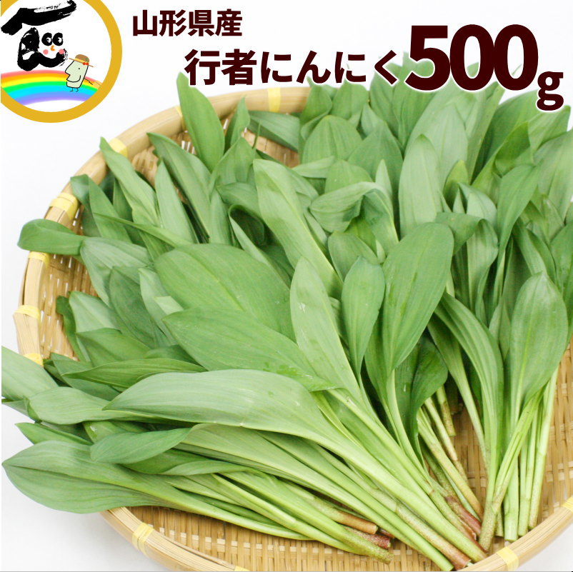 やさい屋ひろ坊‼️ 岩手県産天然葉わさび40本行者ニンニク100本計140本