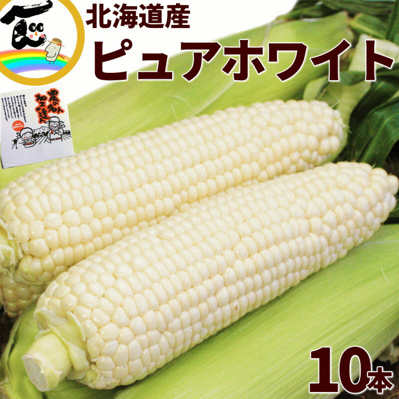 トウモロコシ 北海道産 とうもろこし ピュアホワイト (白色) 10本  白い 甘い 朝取り 産地直送