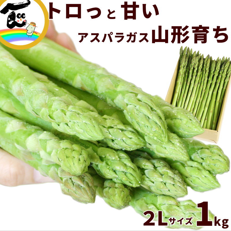 アスパラガス 山形県産 朝採り アスパラガス 1kg 2Lサイズ(200g×5束) アスパラ あすぱらがす