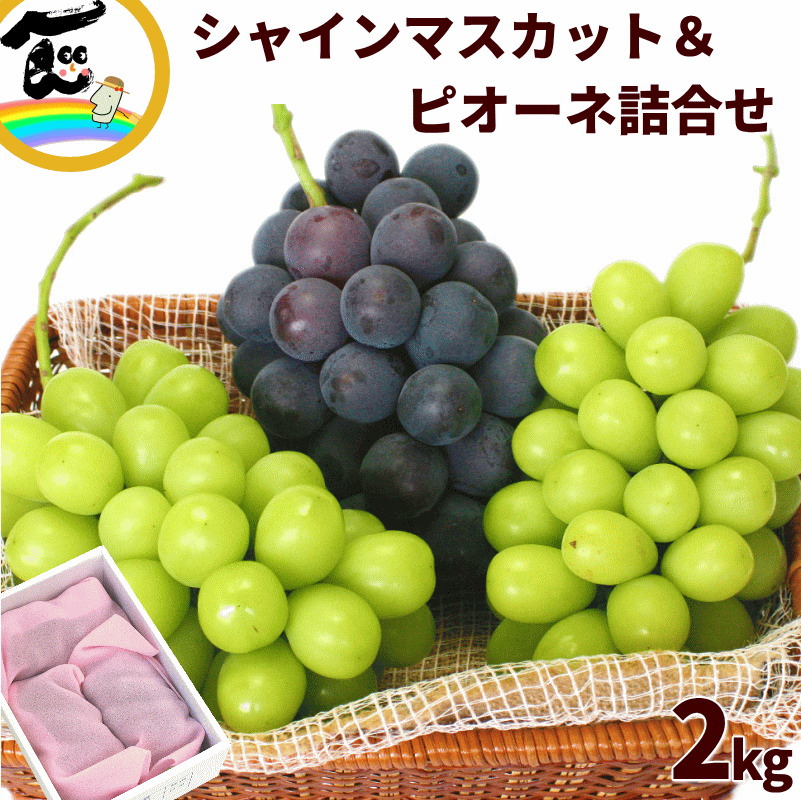 みなみん勝沼産ぶどう3kg 楽天市場】［葡萄 3色3kg ］［ぶどうばたけ］【 山梨県産 勝沼