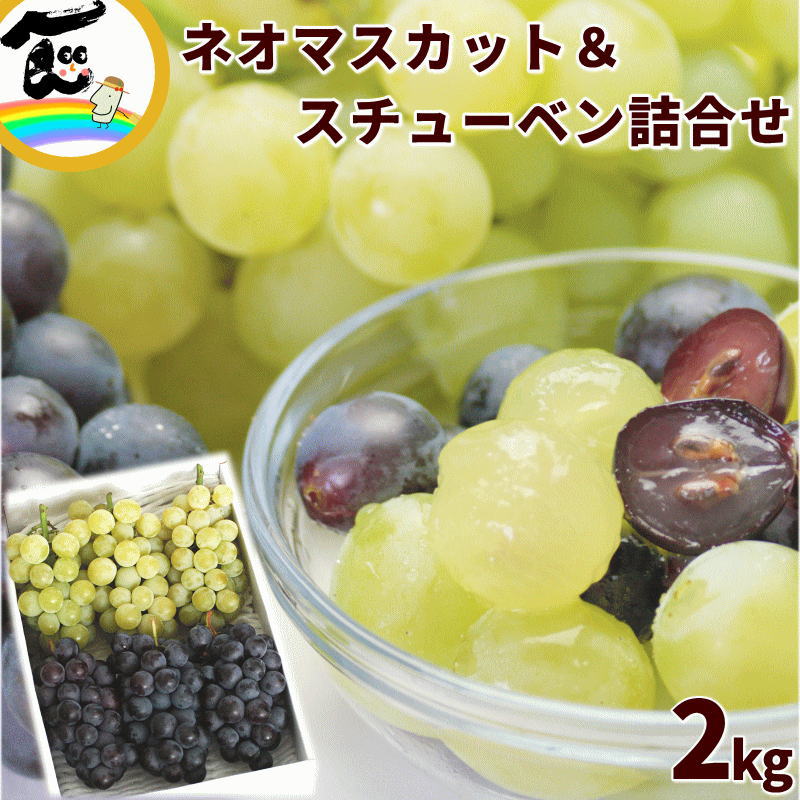 楽天市場】ぶどう詰め合わせ 約1kg（ 3房 ) 山形県産 : まるっと青果