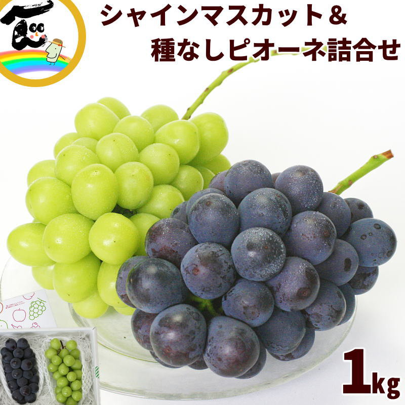 楽天市場】ぶどう 詰め合わせ 約2kg ( 4～5房 ) 山形県産 : まる