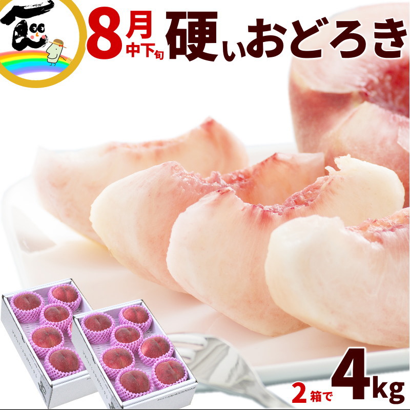 硬い桃 おどろき 山形 おどろき桃 2kg (5～8玉)×2箱 計4kg 秀品 硬い桃 momo おどろき 固い桃 かたい桃 硬い 桃 品種 桃 硬い パリパリ桃 山形県産 白桃 山形 お中元 果物 ギフト