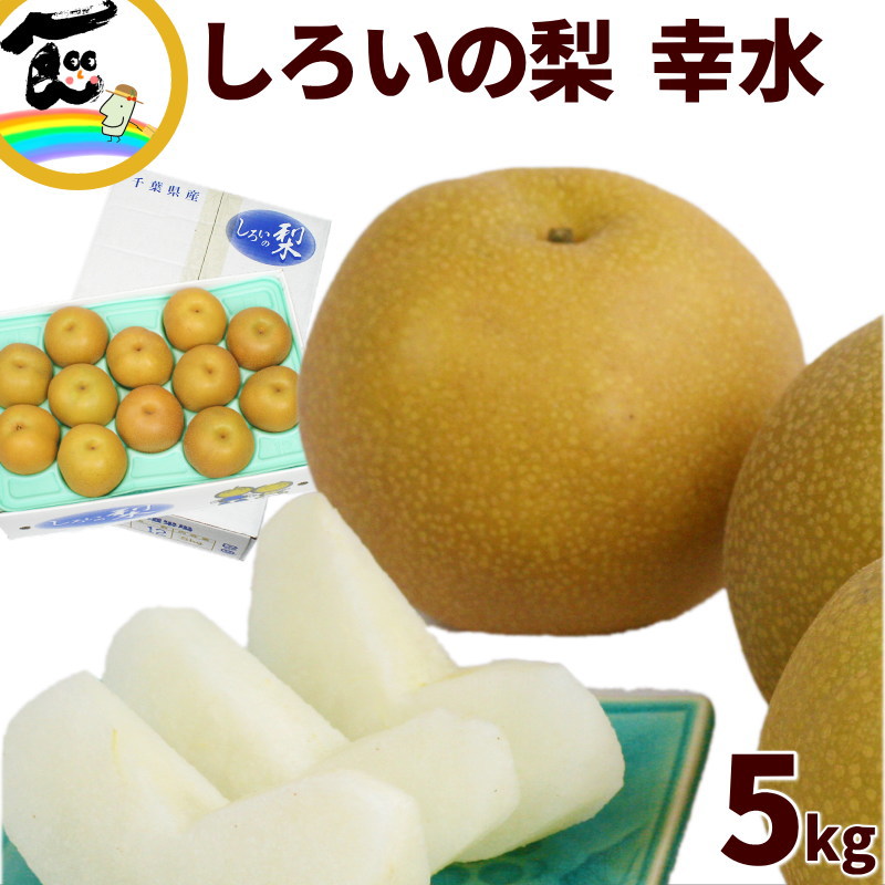 和梨 千葉県産 白井の梨 幸水 5kg (12～18玉) しろいの梨