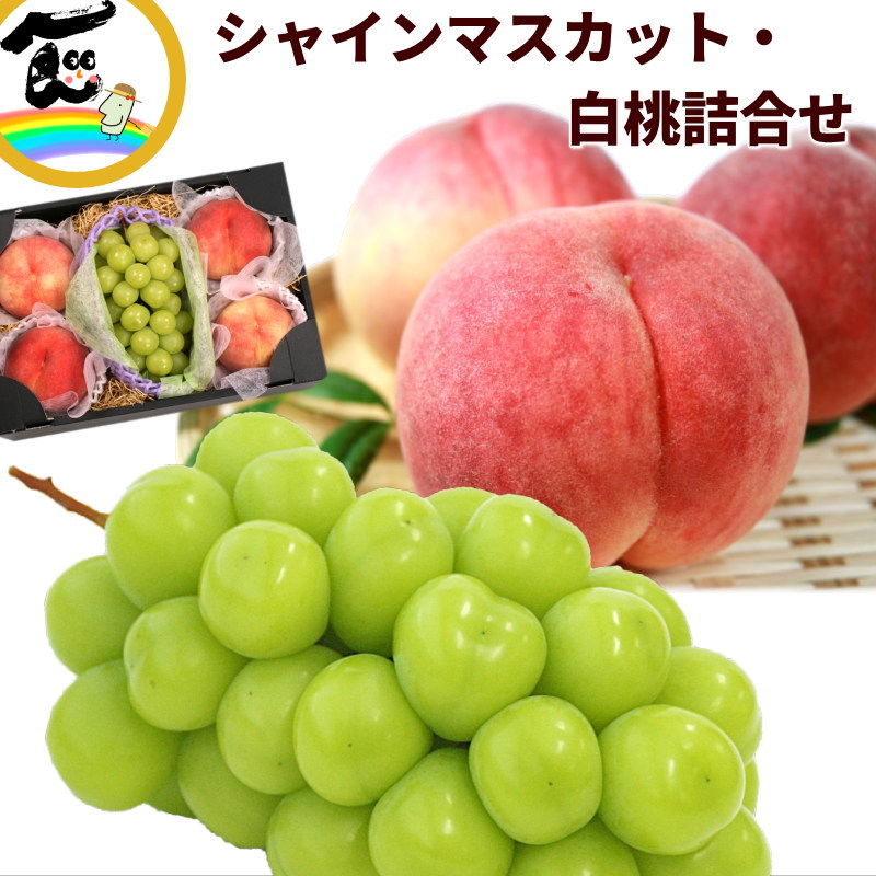 フルーツ 詰合せ ギフト 山形県産　シャインマスカット＆白桃詰合せ (シャインマスカット ：秀品、1房、500g、白桃：秀品、4個、1個あたり310g)