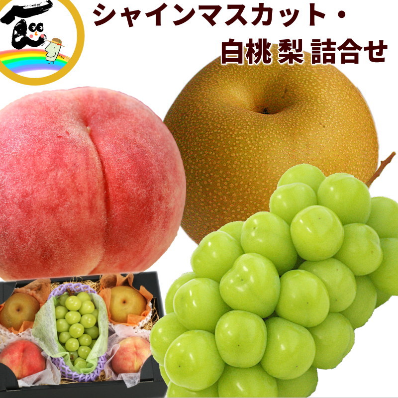 フルーツ 詰合せ ギフト 山形県産　シャインマスカット＆白桃＆梨詰合せ (シャインマスカット ：秀品、1房、500g、白桃：秀品、4個、1個あたり300g、梨 (幸水または豊水)：秀品、2個、1個あたり300g)