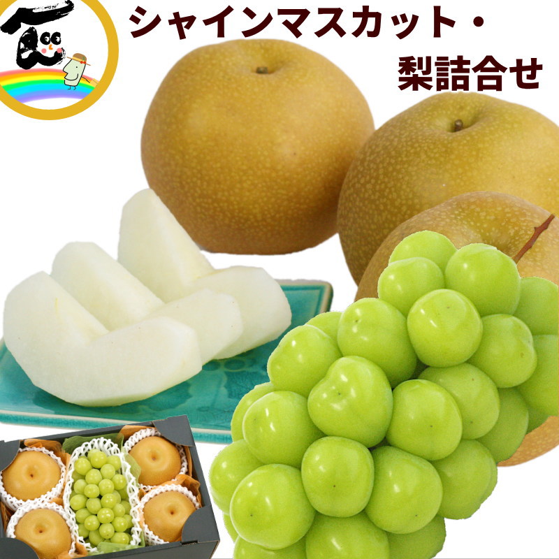 フルーツ 詰合せ ギフト福島県産 シャインマスカット＆梨(幸水)詰合せ (シャインマスカット ：秀品、1房、500g、幸水梨：秀品、4個、1個あたり300g)　梨 ぶどう